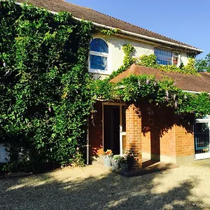  Bed & Breakfast Stapehill